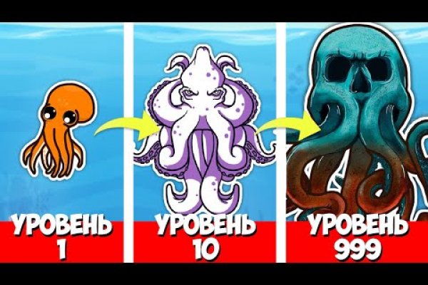 Kraken 11at