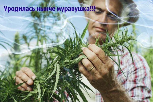 Вход в кракен