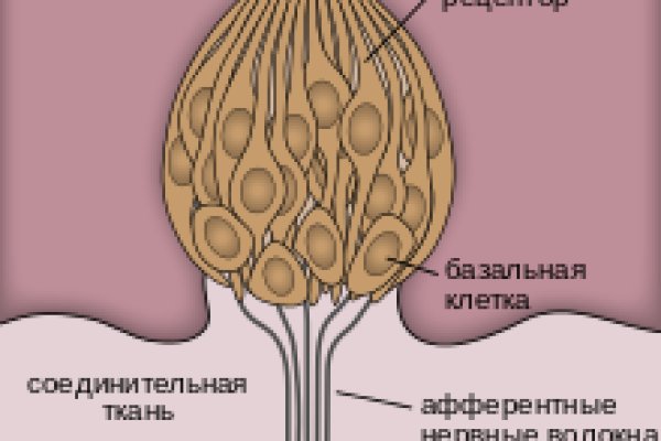 Кракен марке