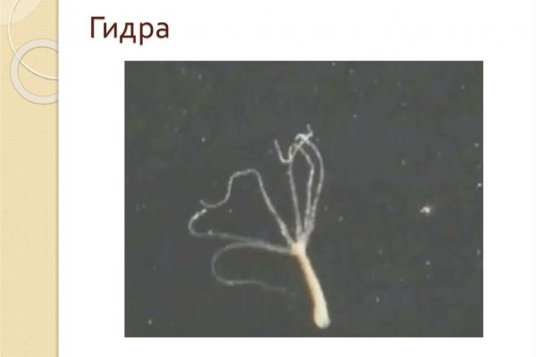 Актуальная информация о krab3.at