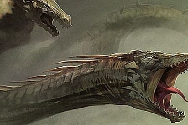 Kraken что это такое