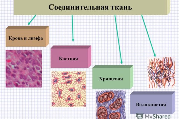 Клир ссылка на кракен 2025