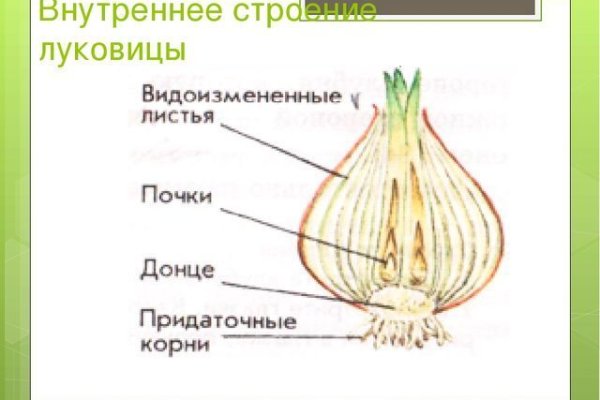 Список луковых tor сайтов