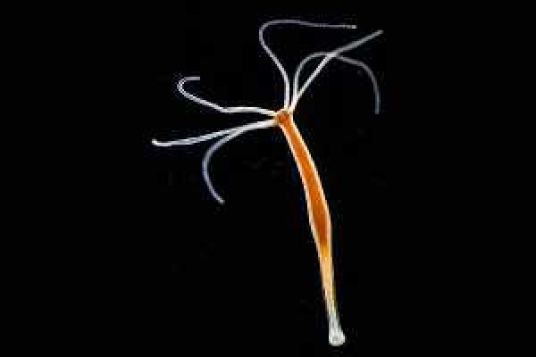 Проверенные сервисы на кракен сайт ссылка