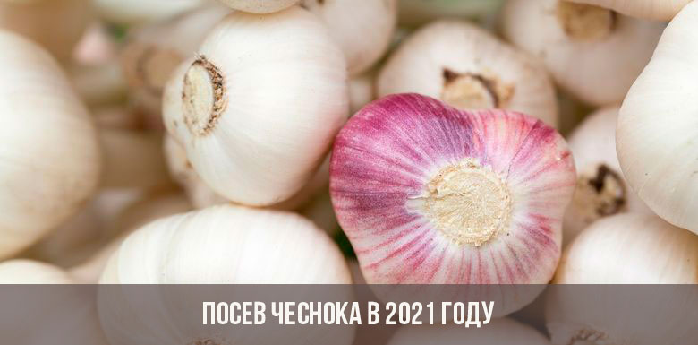 Как перейти на кракен