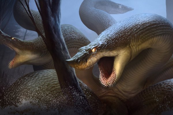 Kraken online