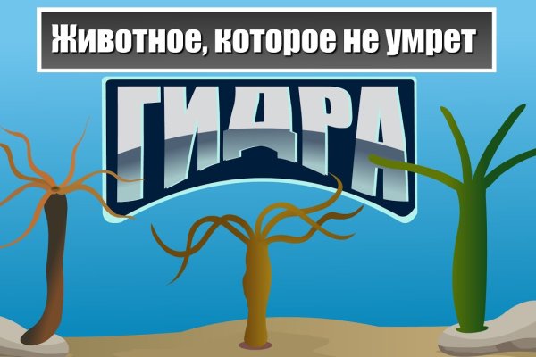 Кракен зеркало впн