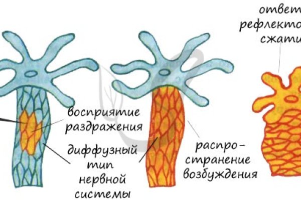 Официальный сайт kraken kraken clear com